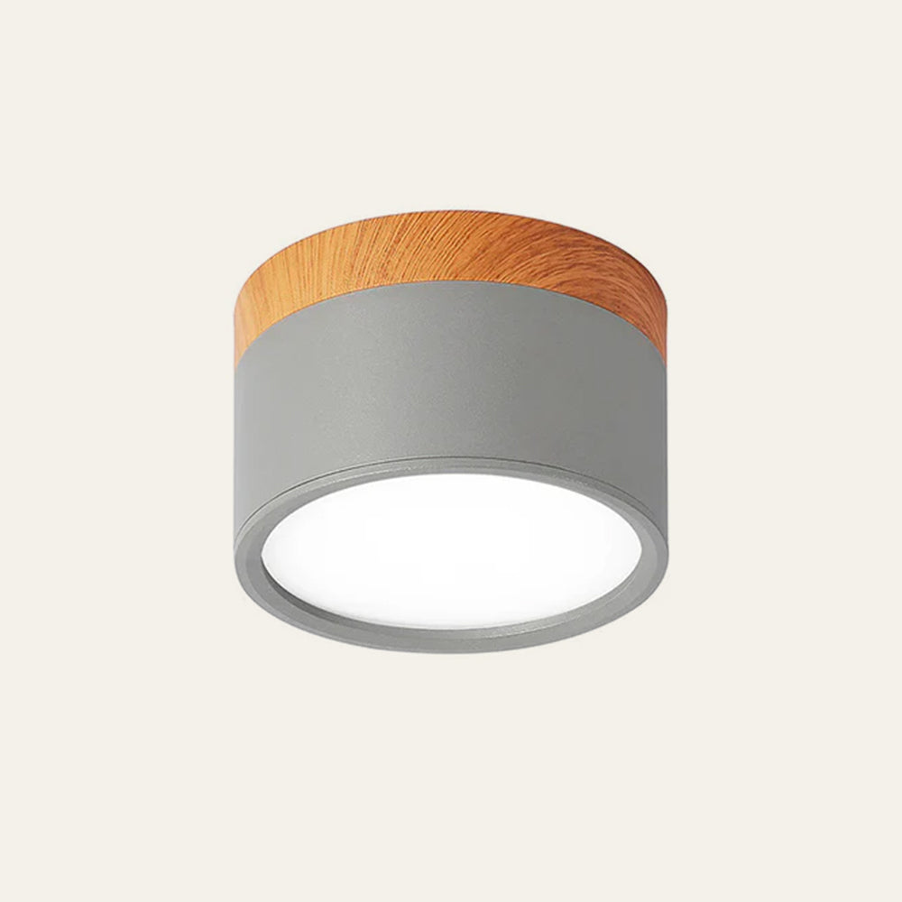 Modern Cylinder LED Flush Mount Ceiling Light