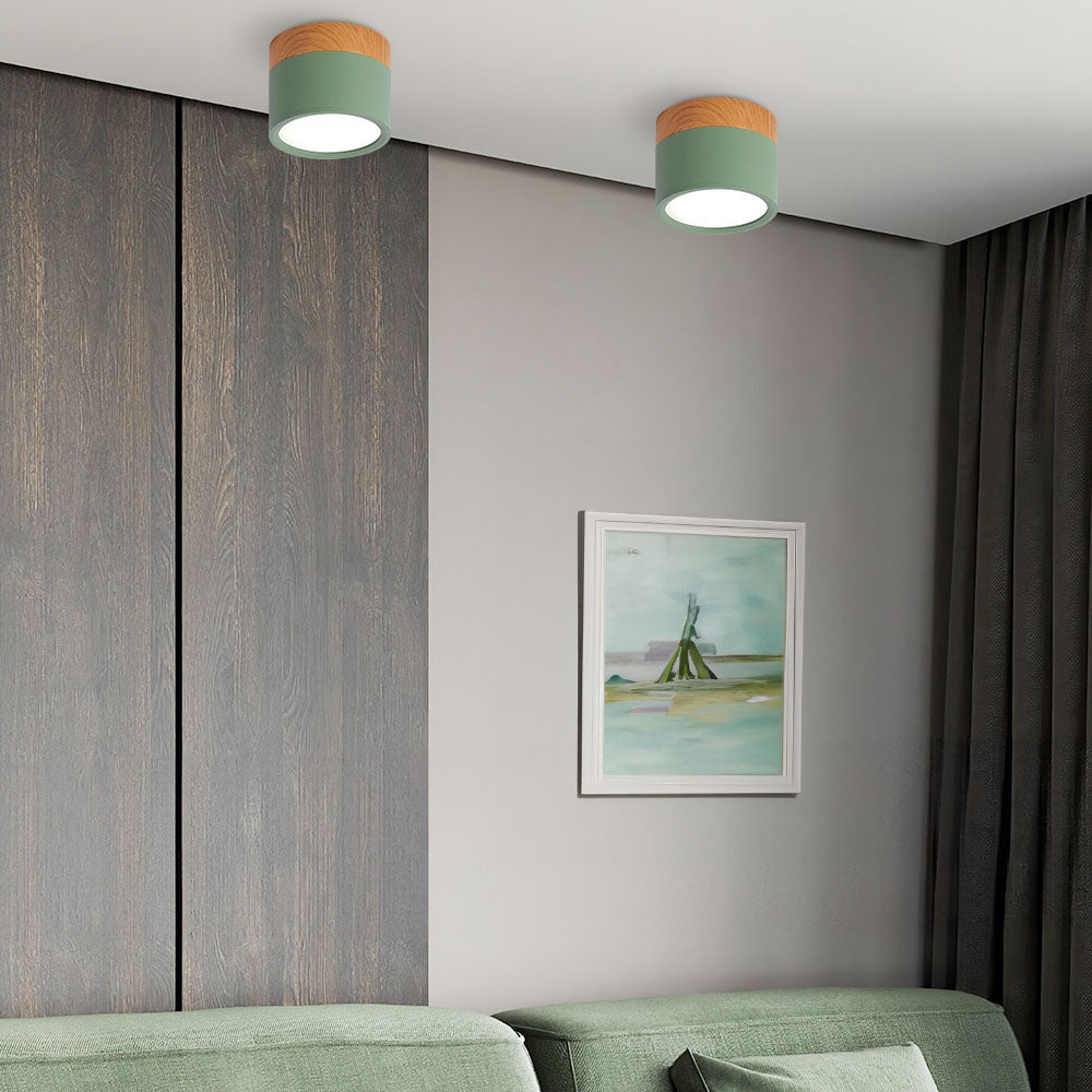 Modern Cylinder LED Flush Mount Ceiling Light