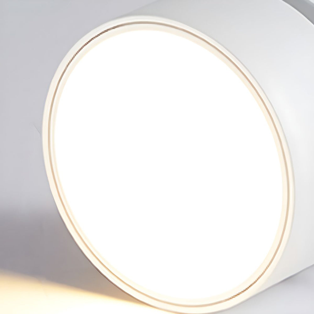Modern Adjustable Mini Surface Mounted LED Ceiling Light