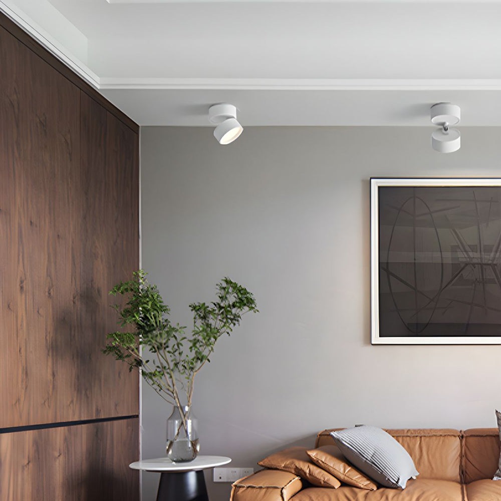 Modern Adjustable Mini Surface Mounted LED Ceiling Light