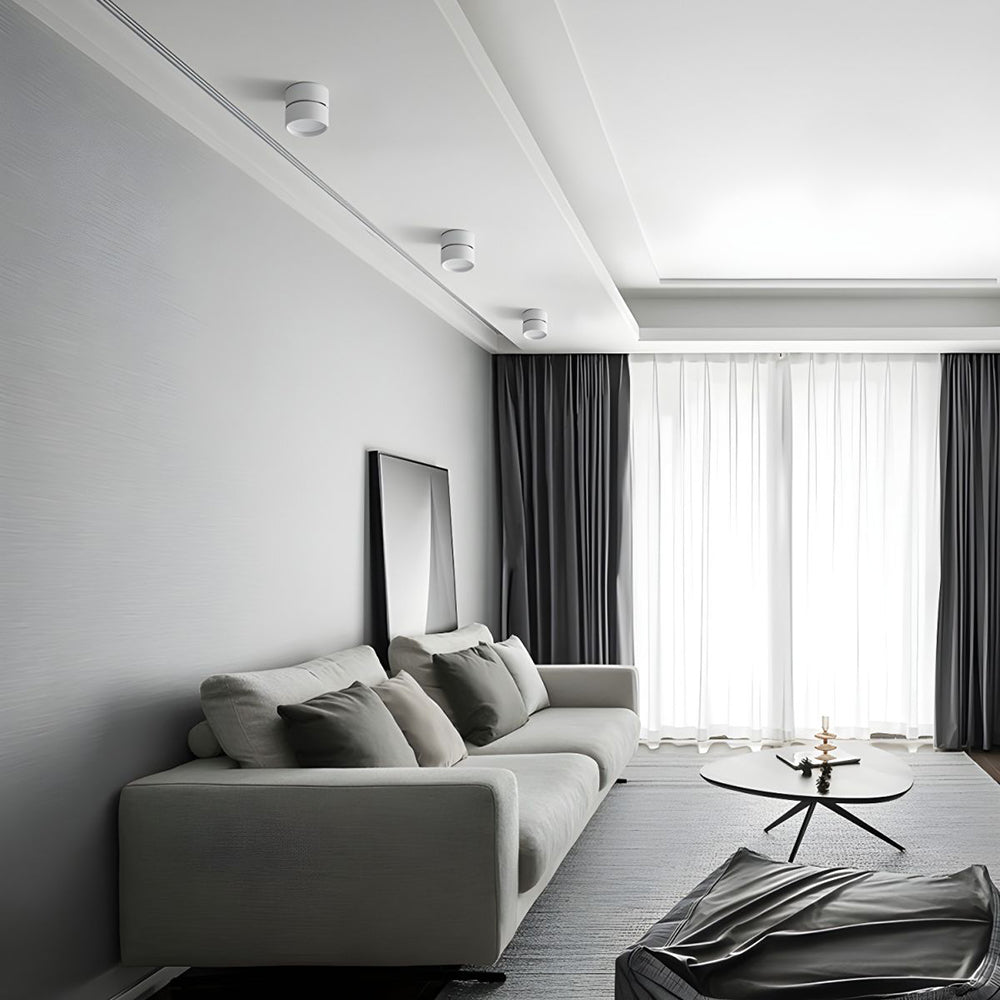 Modern Adjustable Mini Surface Mounted LED Ceiling Light
