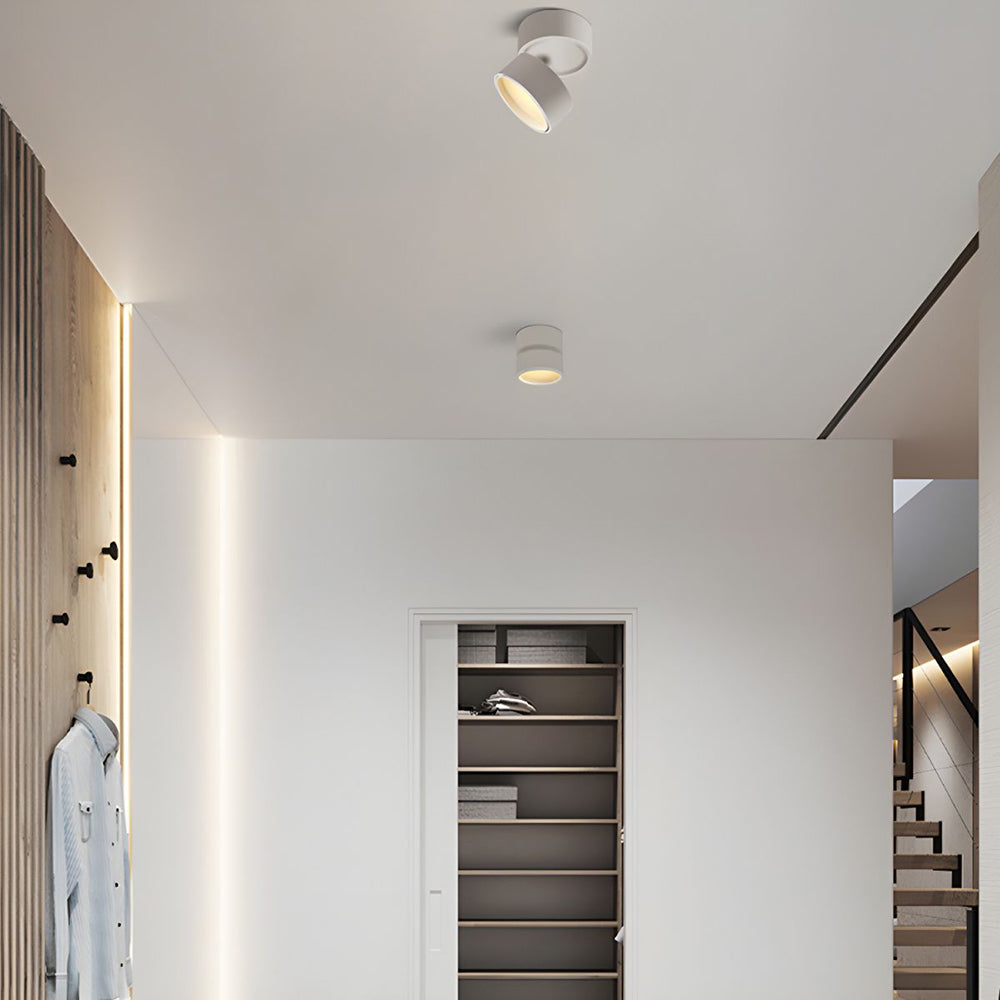 Modern Adjustable Mini Surface Mounted LED Ceiling Light