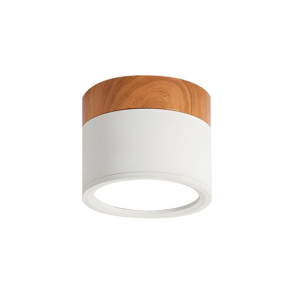 Modern Cylinder LED Flush Mount Ceiling Light