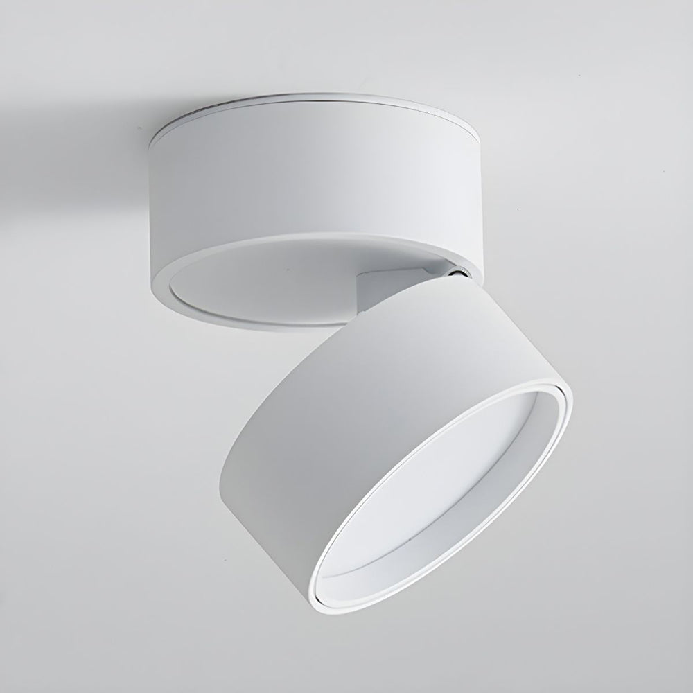 Modern Adjustable Mini Surface Mounted LED Ceiling Light