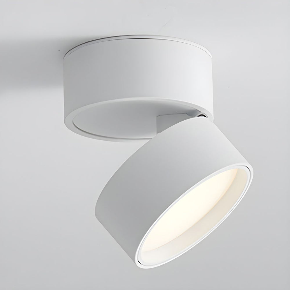 Modern Adjustable Mini Surface Mounted LED Ceiling Light