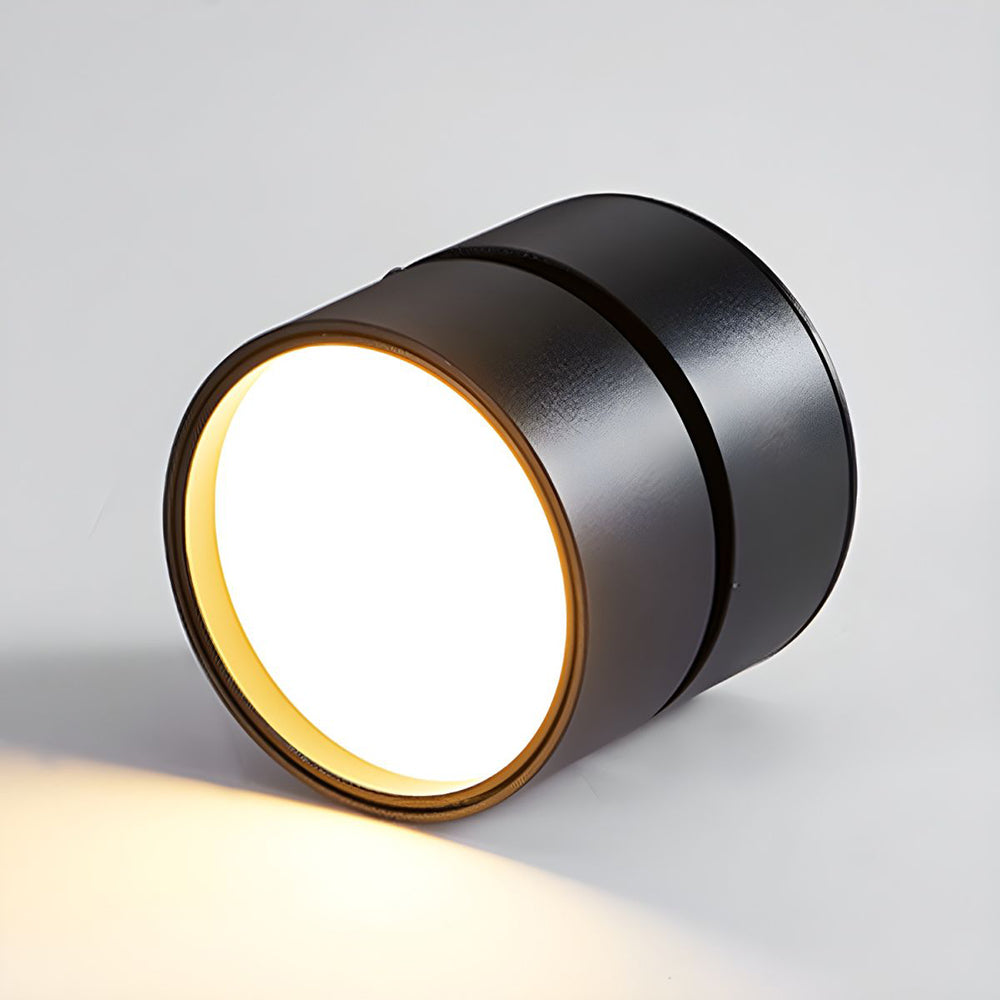 Modern Adjustable Mini Surface Mounted LED Ceiling Light