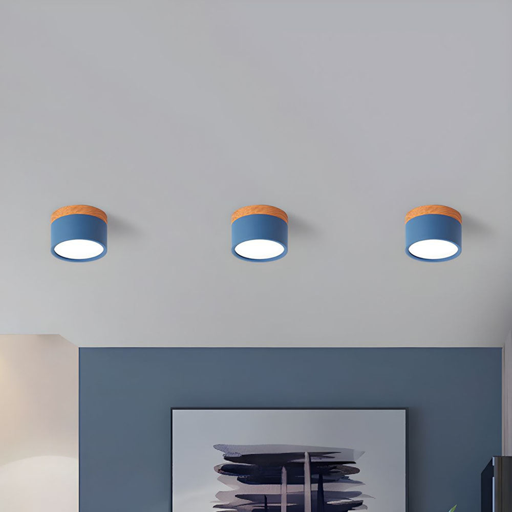 Modern Cylinder LED Flush Mount Ceiling Light
