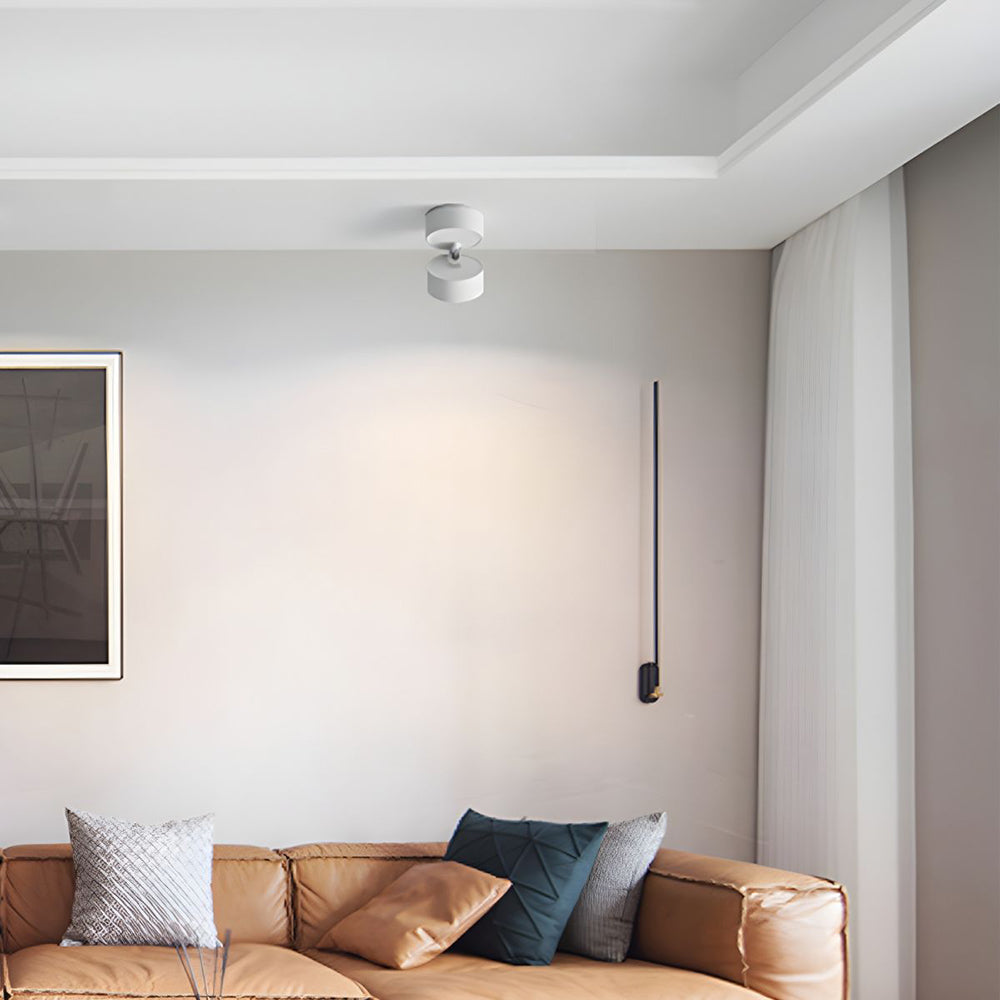 Modern Adjustable Mini Surface Mounted LED Ceiling Light