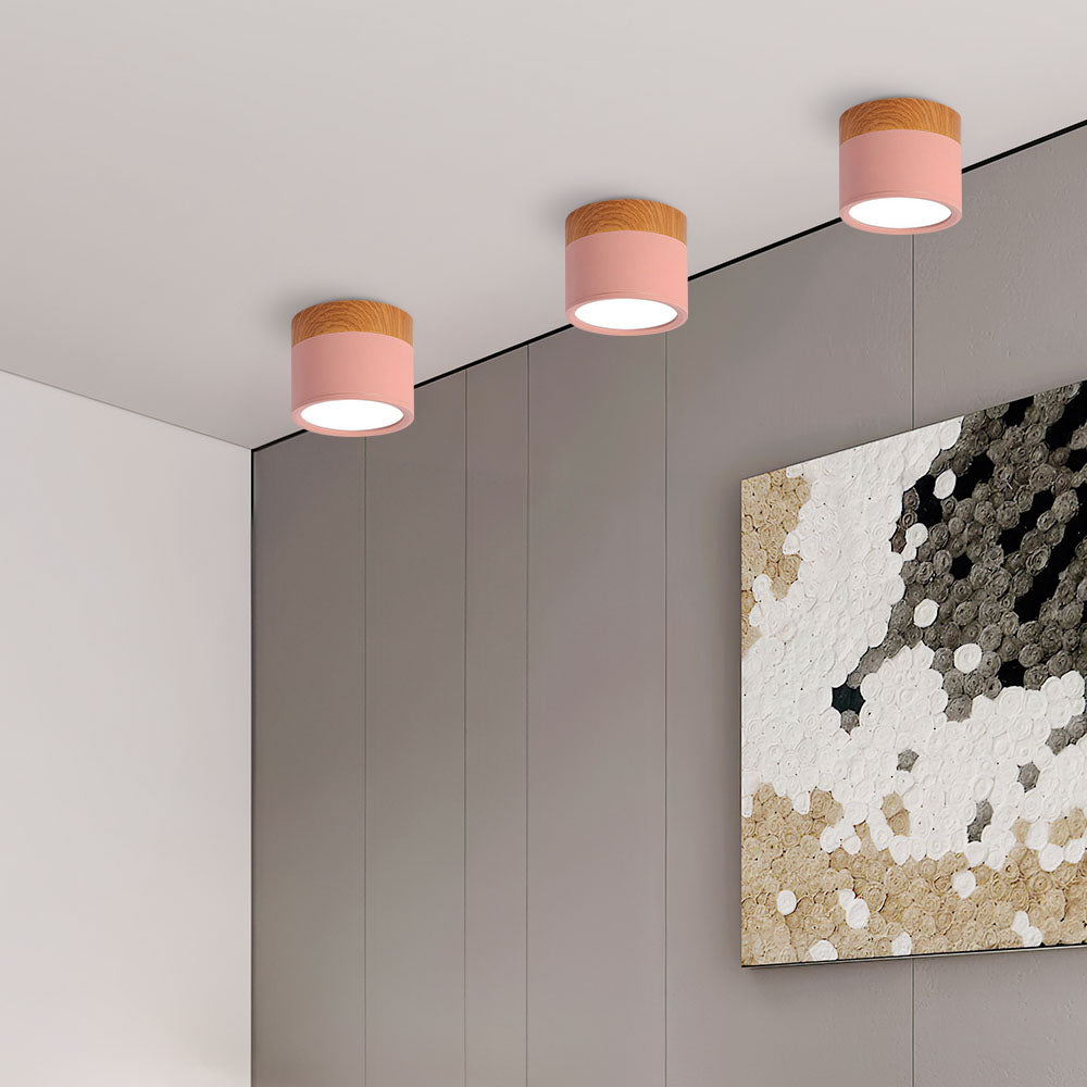 Modern Cylinder LED Flush Mount Ceiling Light