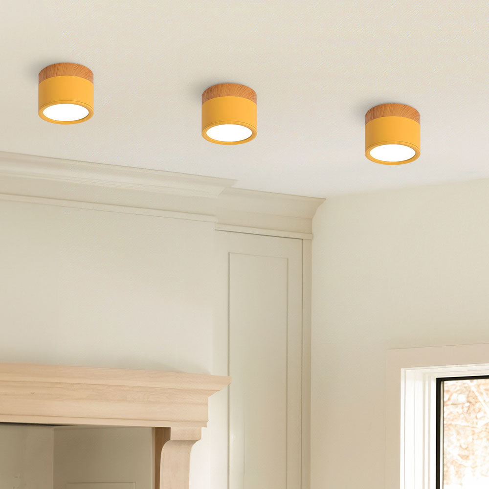 Modern Cylinder LED Flush Mount Ceiling Light