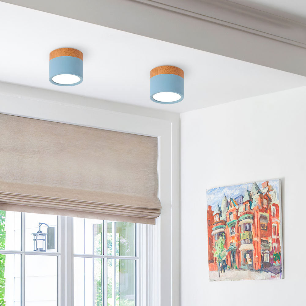 Modern Cylinder LED Flush Mount Ceiling Light