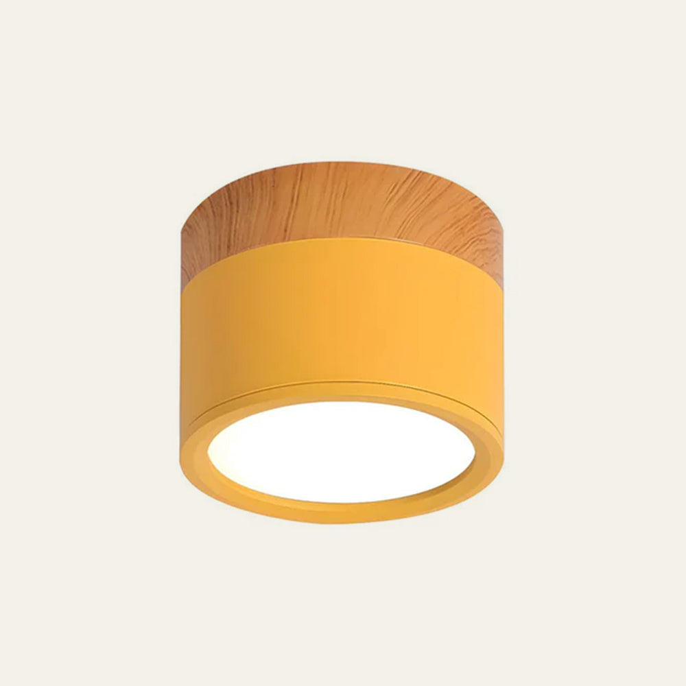 Modern Cylinder LED Flush Mount Ceiling Light