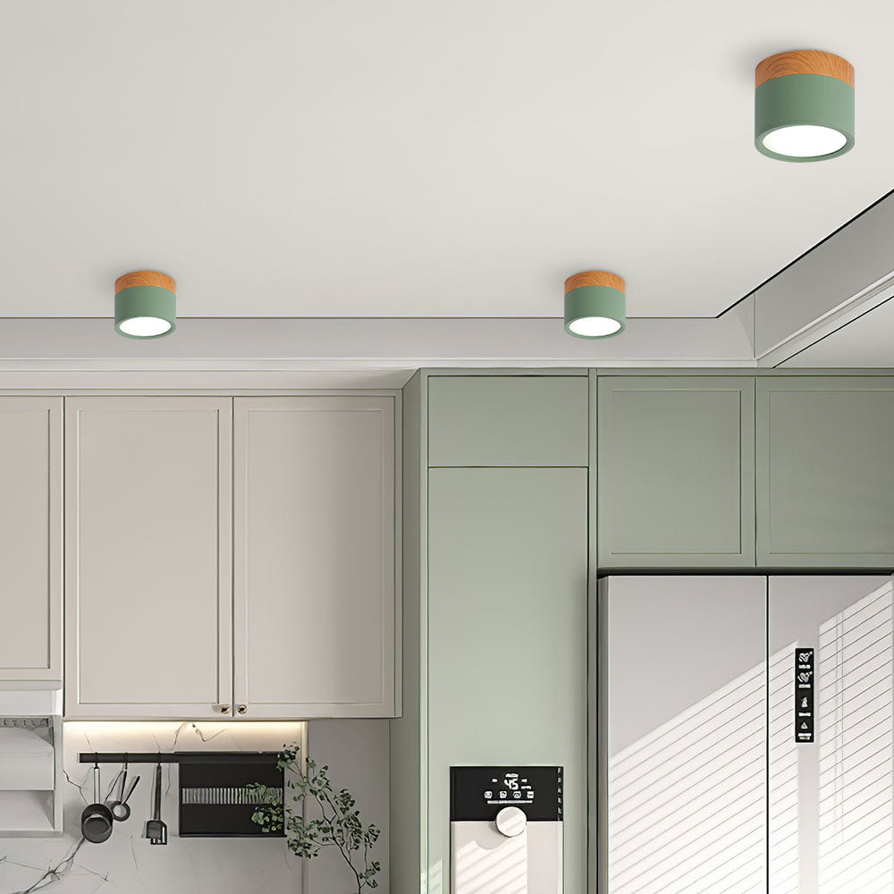 Modern Cylinder LED Flush Mount Ceiling Light