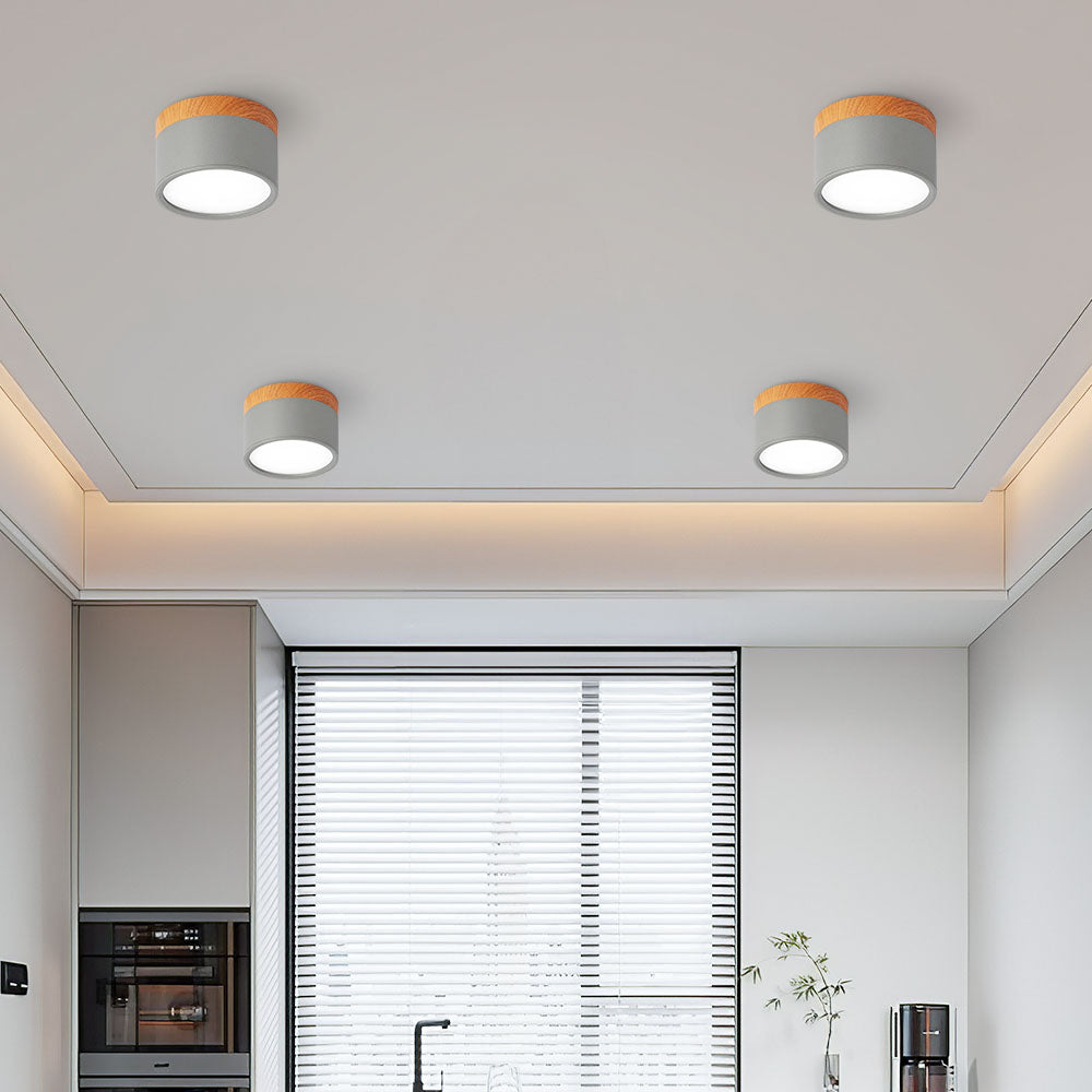 Modern Cylinder LED Flush Mount Ceiling Light