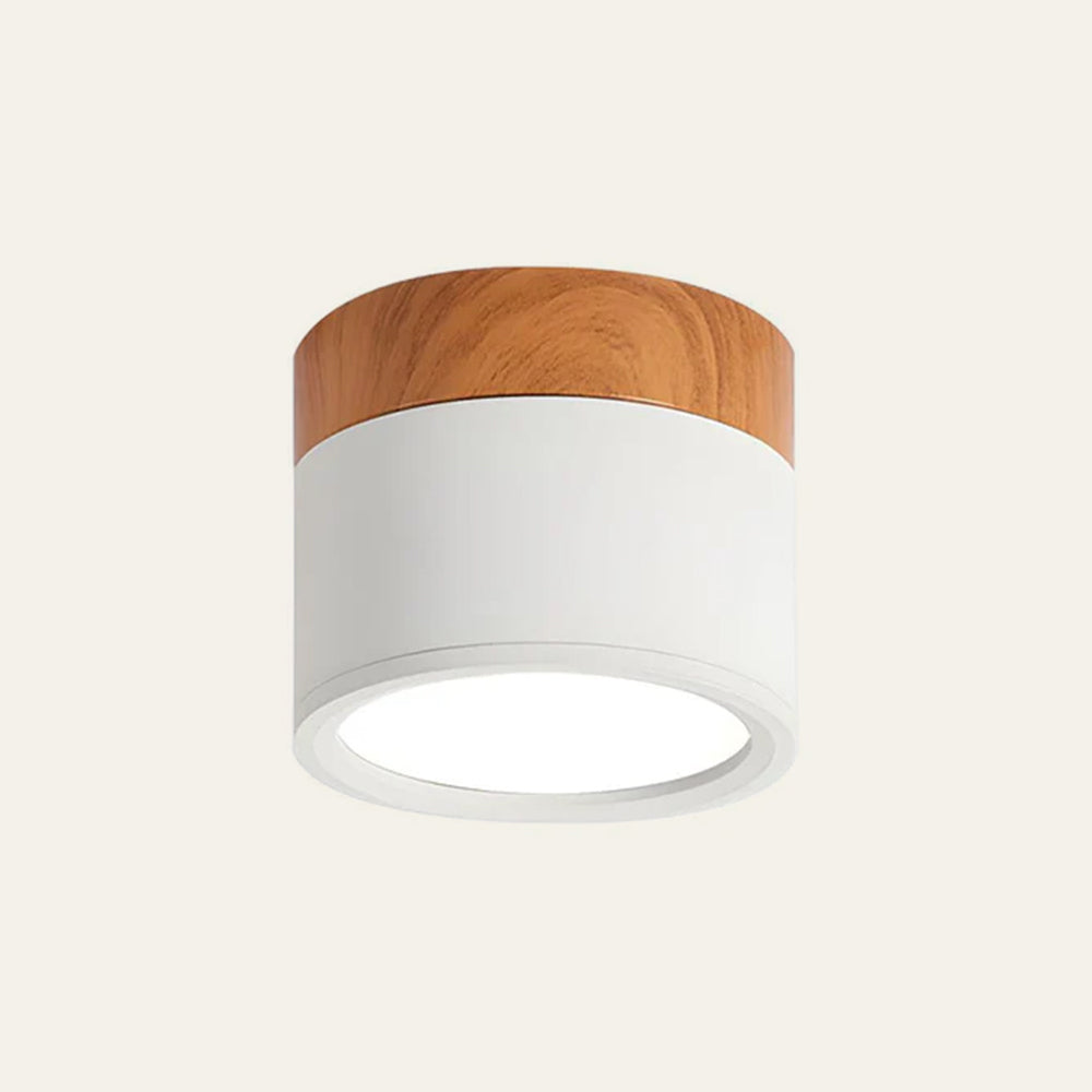 Modern Cylinder LED Flush Mount Ceiling Light