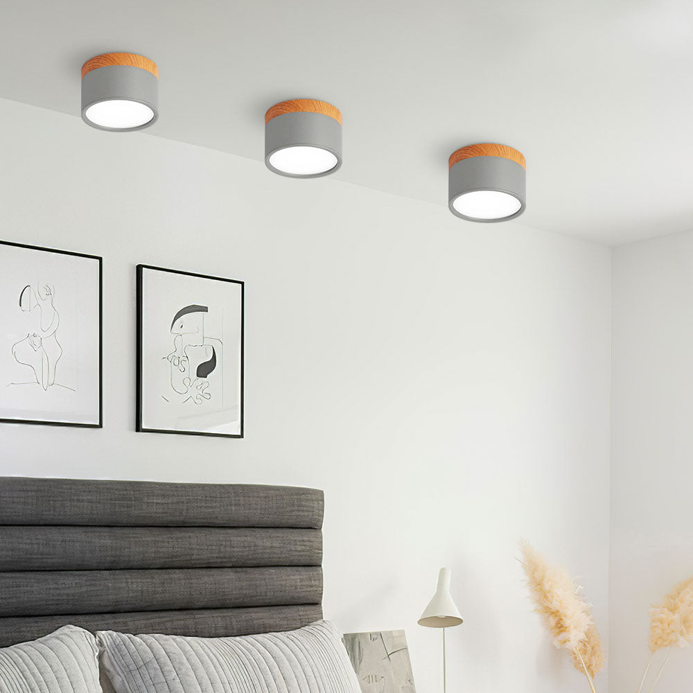 Modern Cylinder LED Flush Mount Ceiling Light