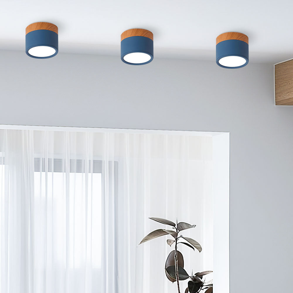 Modern Cylinder LED Flush Mount Ceiling Light