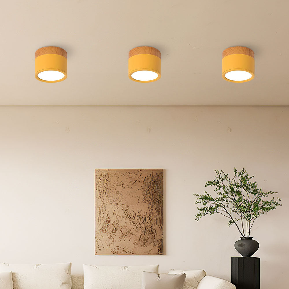 Modern Cylinder LED Flush Mount Ceiling Light