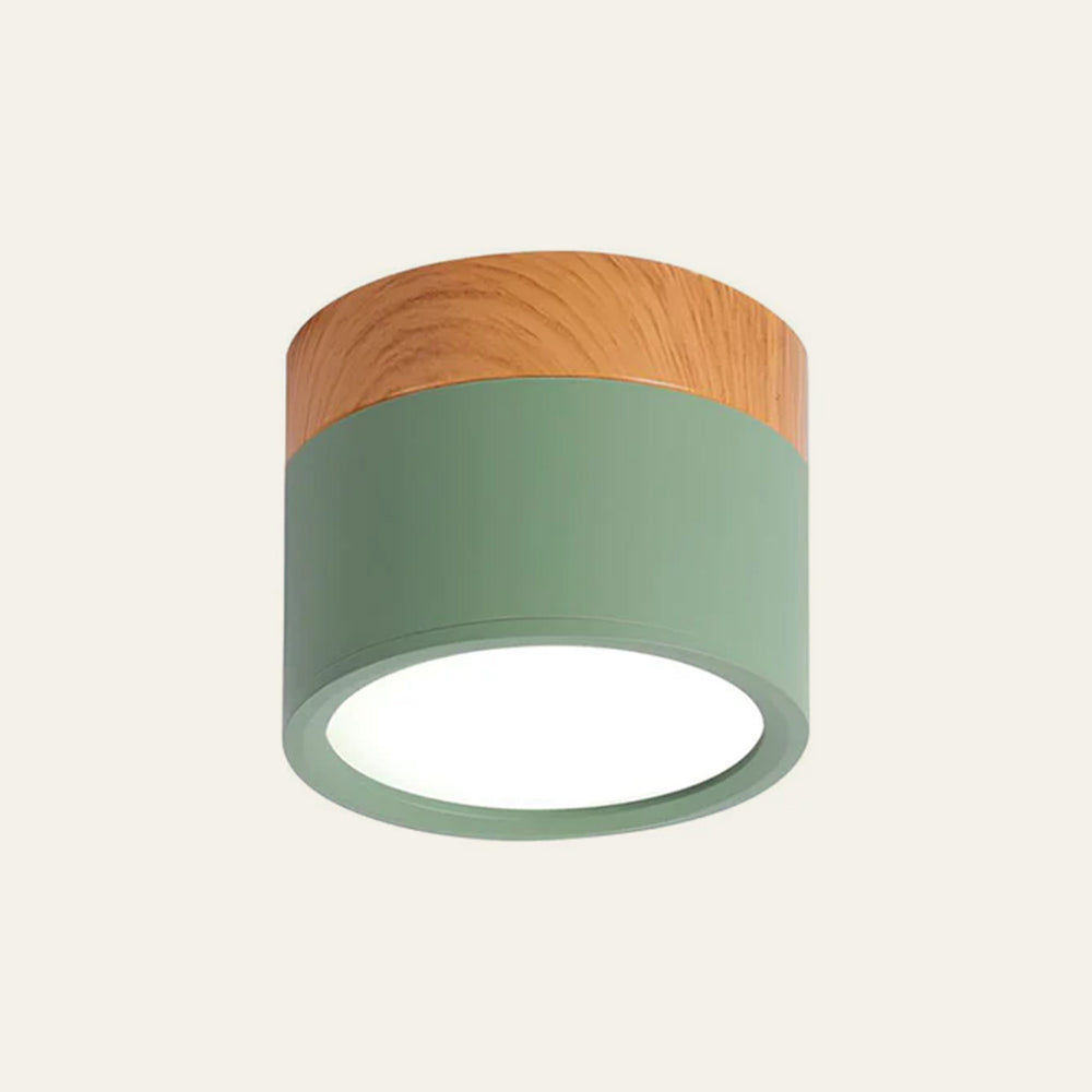 Modern Cylinder LED Flush Mount Ceiling Light
