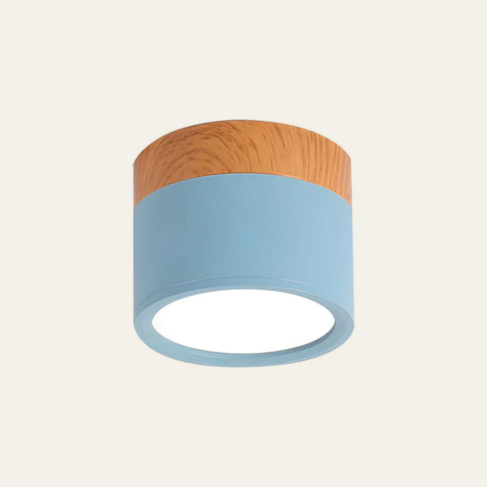 Modern Cylinder LED Flush Mount Ceiling Light