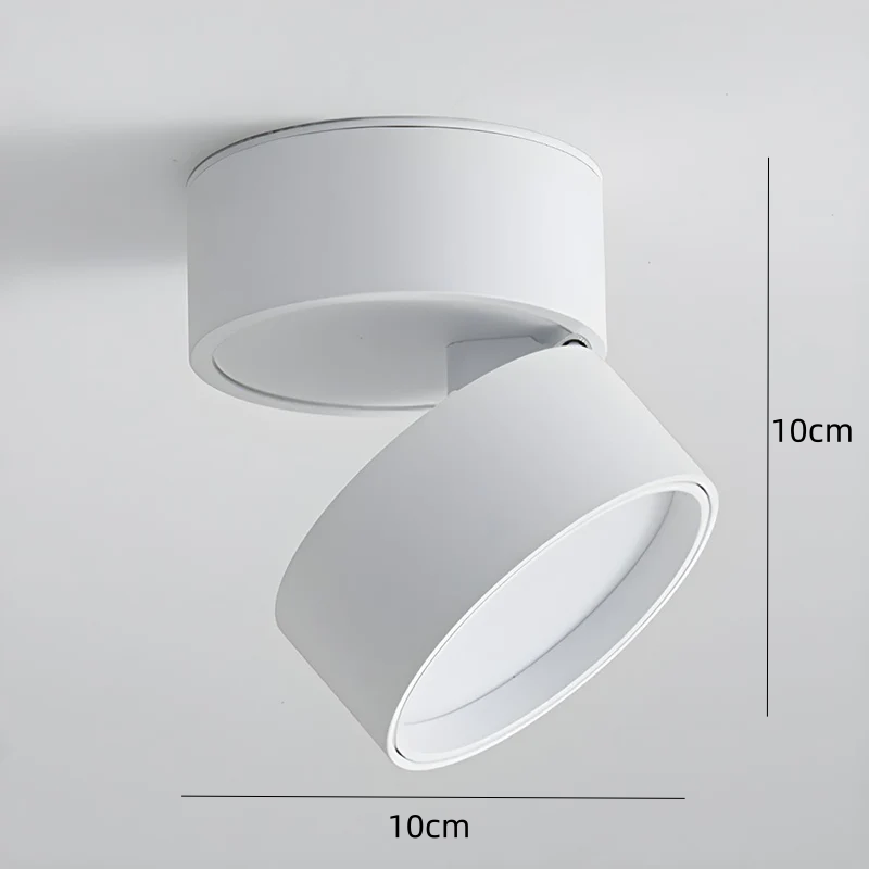 Modern Adjustable Mini Surface Mounted LED Ceiling Light