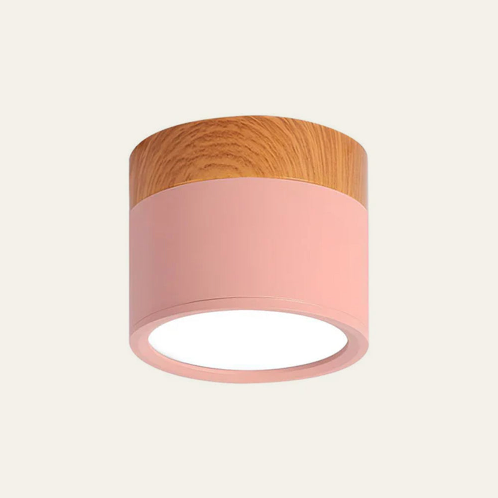 Modern Cylinder LED Flush Mount Ceiling Light