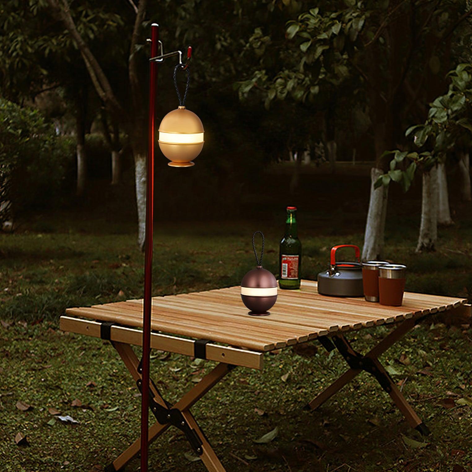 Portable LED Table Lamp with Built In Battery and Touch Control