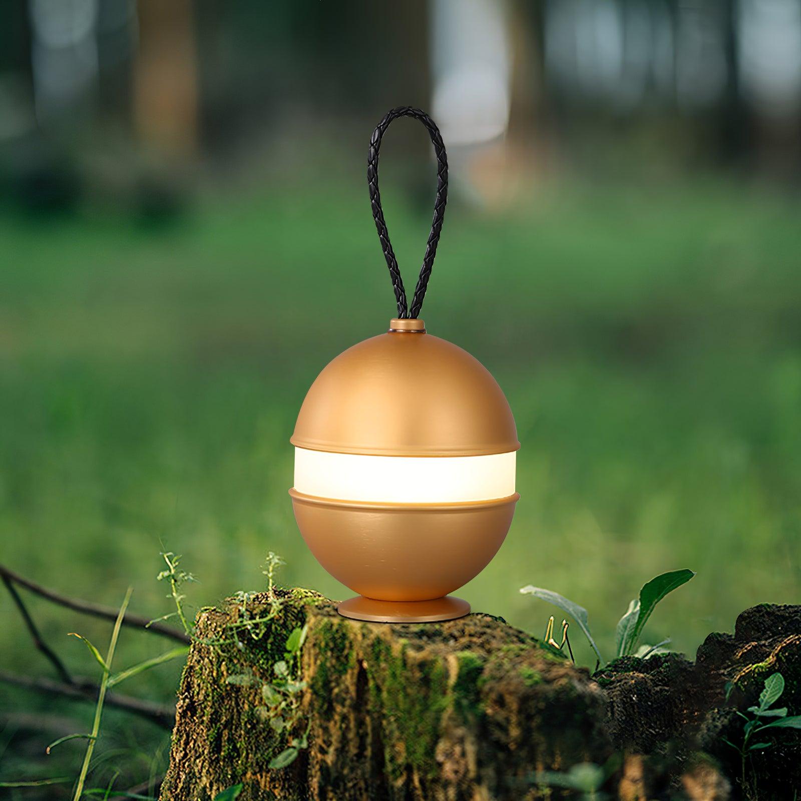 Portable LED Table Lamp with Built In Battery and Touch Control