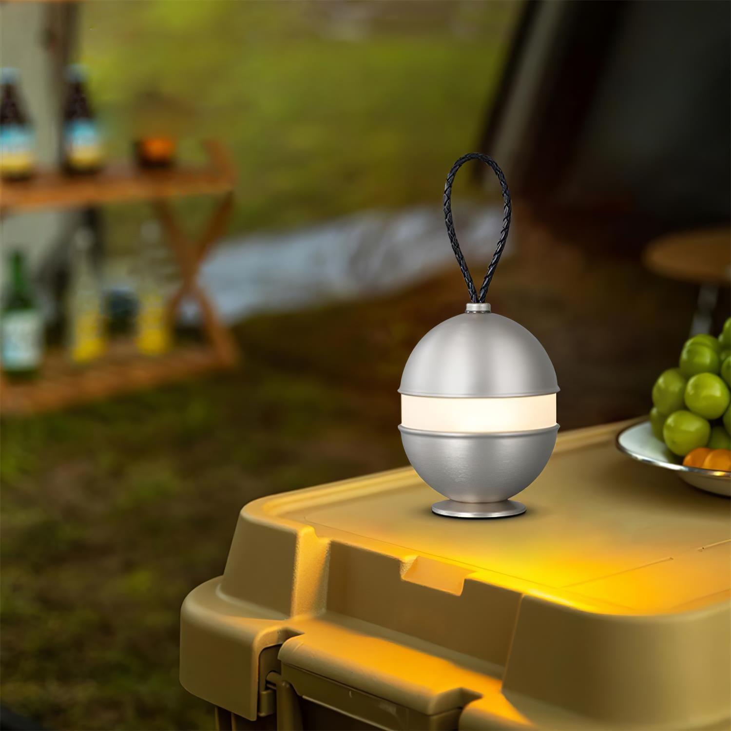 Portable LED Table Lamp with Built In Battery and Touch Control