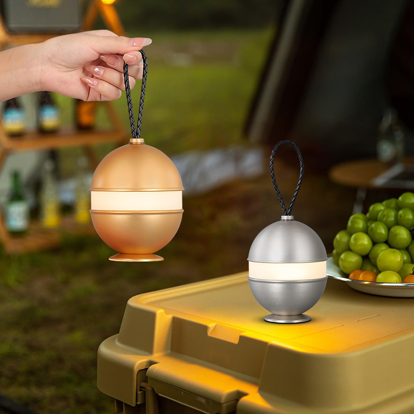 Portable LED Table Lamp with Built In Battery and Touch Control
