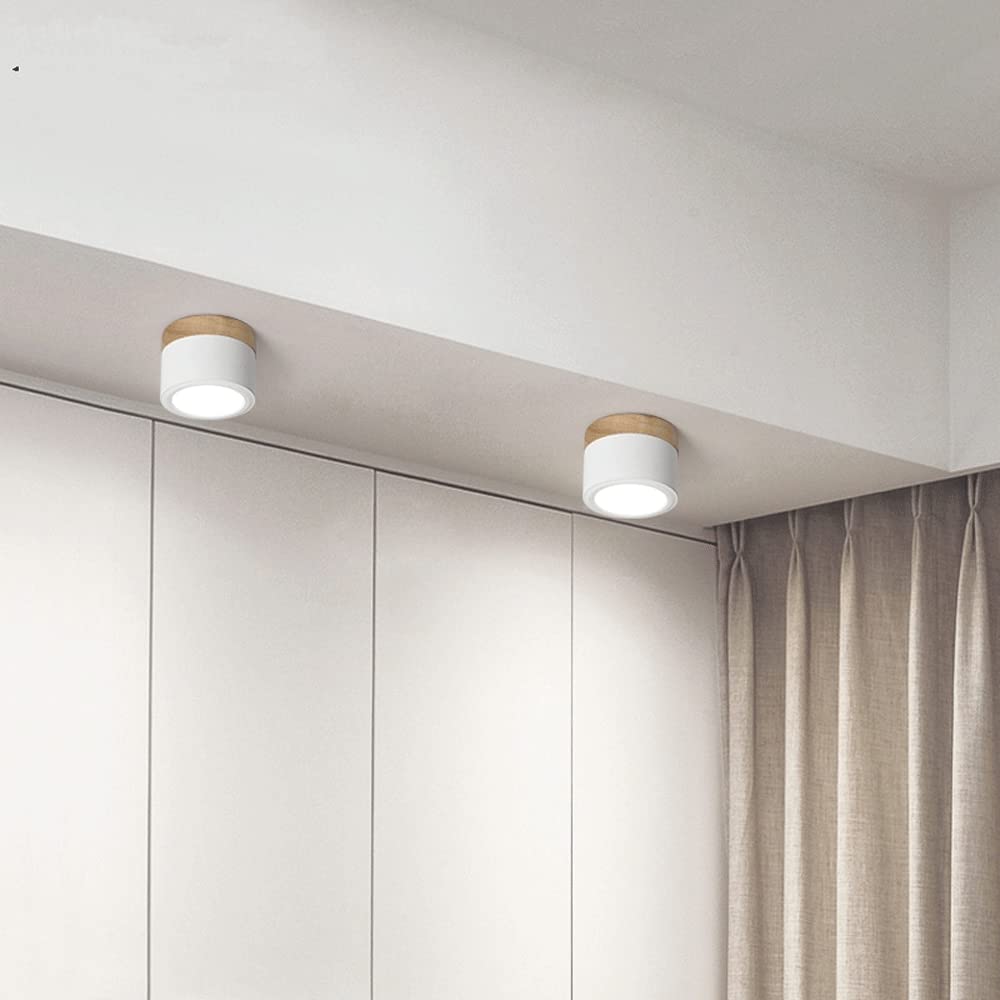 Modern Cylinder LED Flush Mount Ceiling Light