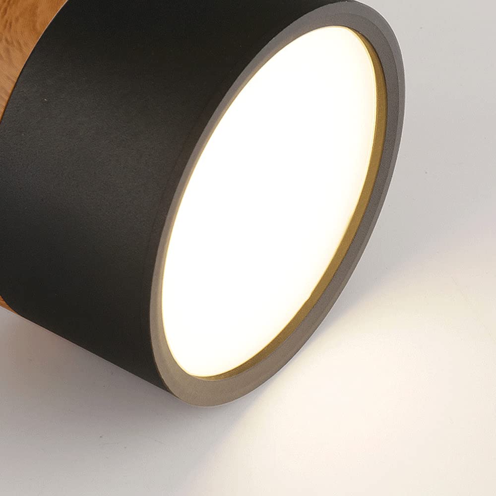 Modern Cylinder LED Flush Mount Ceiling Light