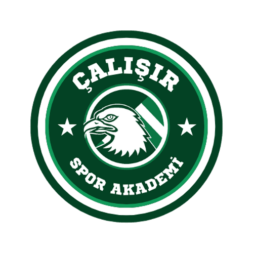Çalışır Spor Akademi logo