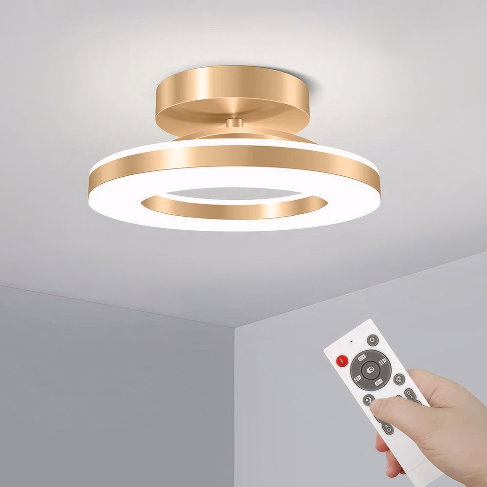 LED Ceiling Light in Modern Iron Design