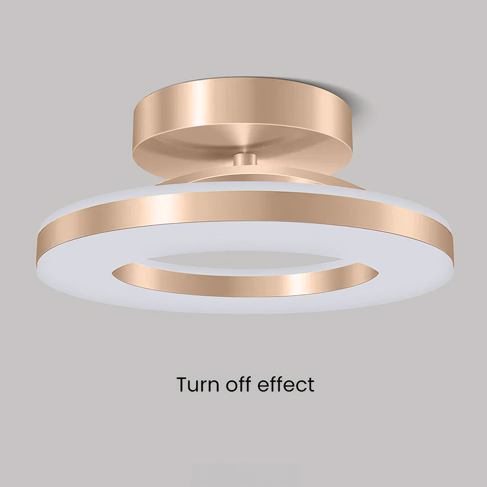 LED Ceiling Light in Modern Iron Design
