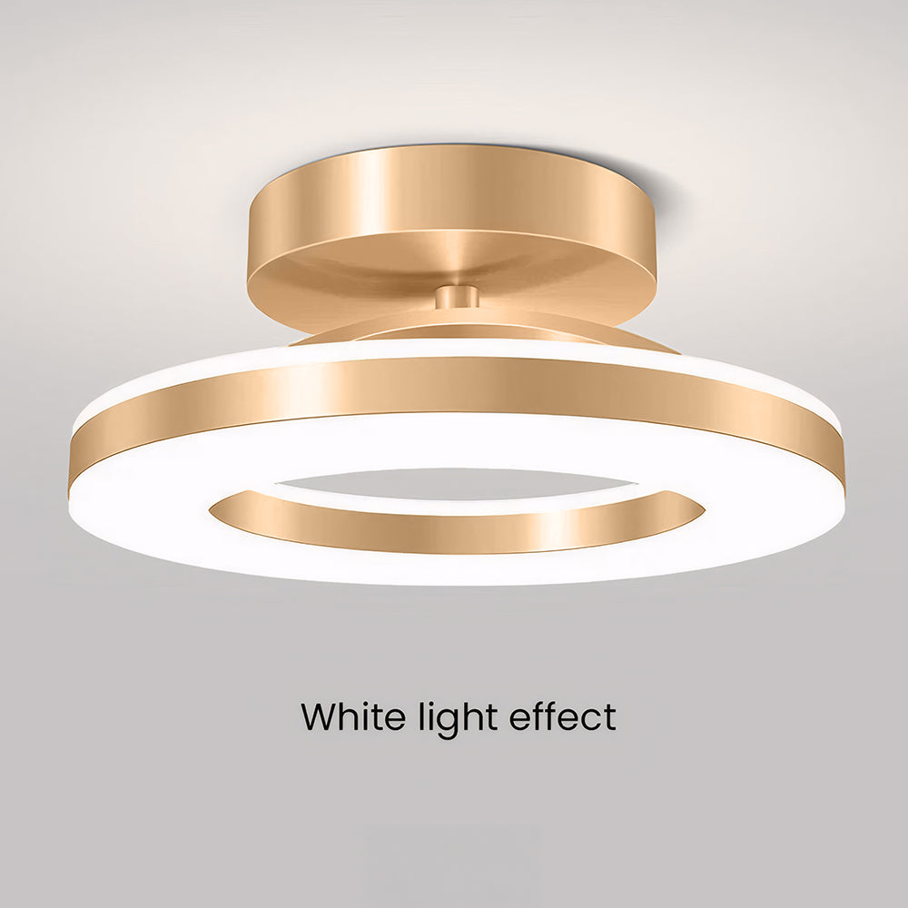 LED Ceiling Light in Modern Iron Design