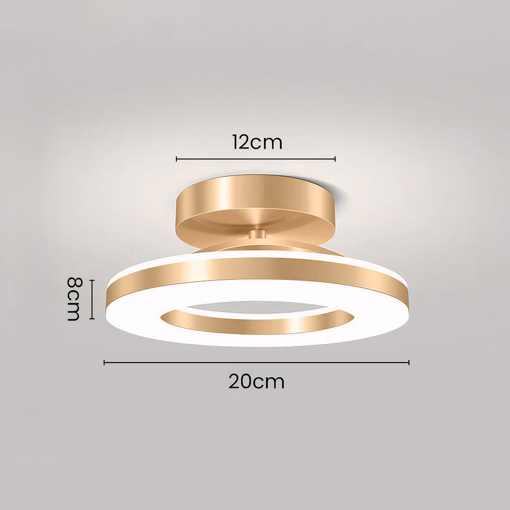 LED Ceiling Light in Modern Iron Design