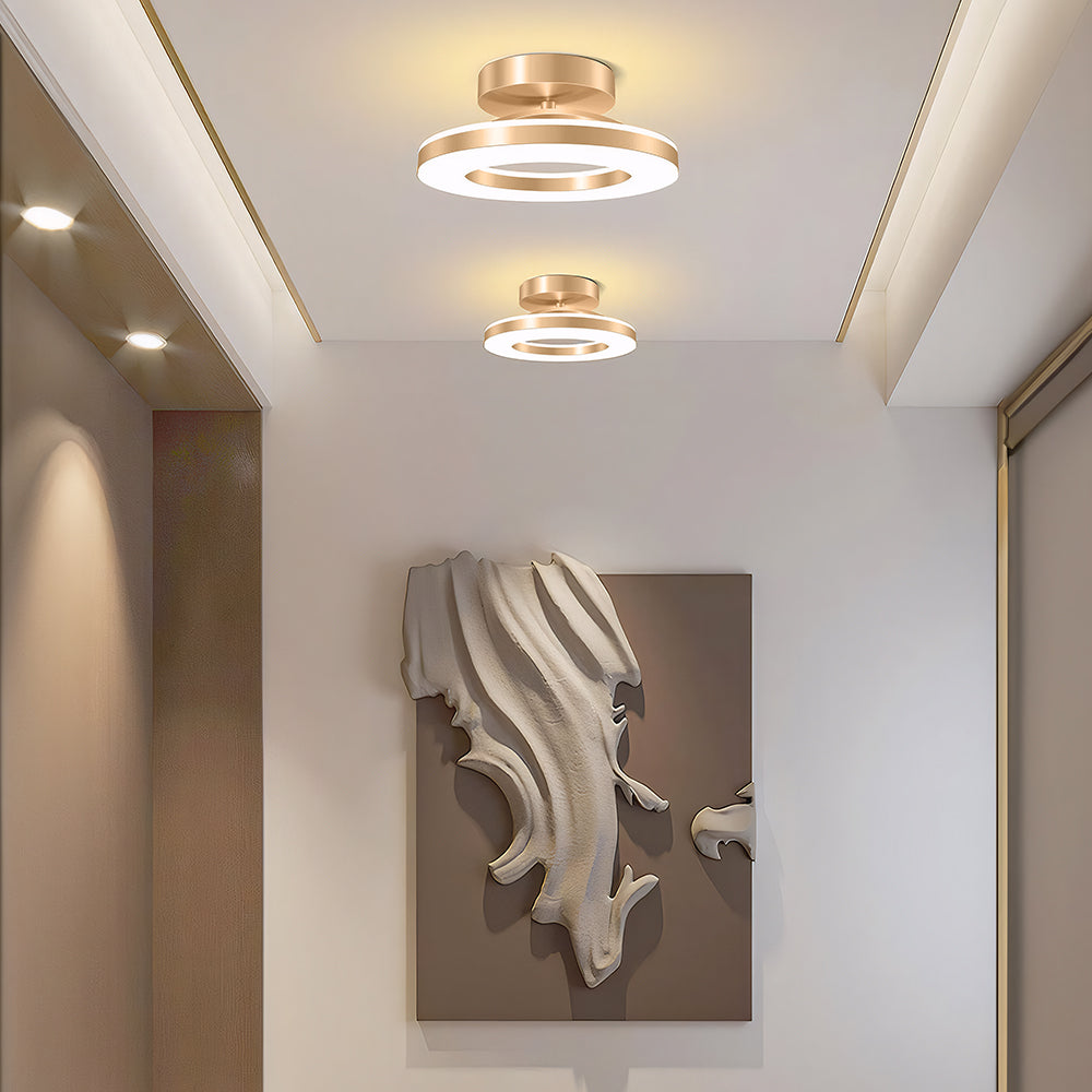 LED Ceiling Light in Modern Iron Design