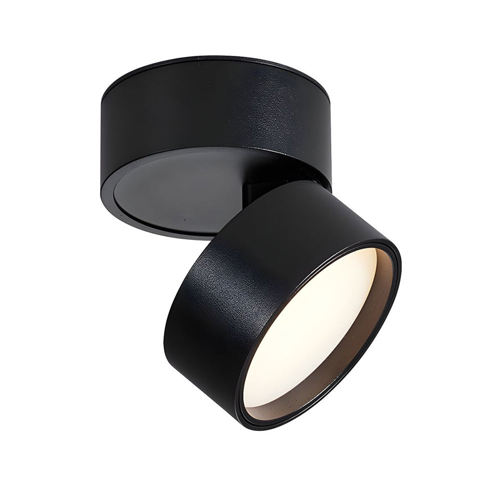 Modern Adjustable Mini Surface Mounted LED Ceiling Light