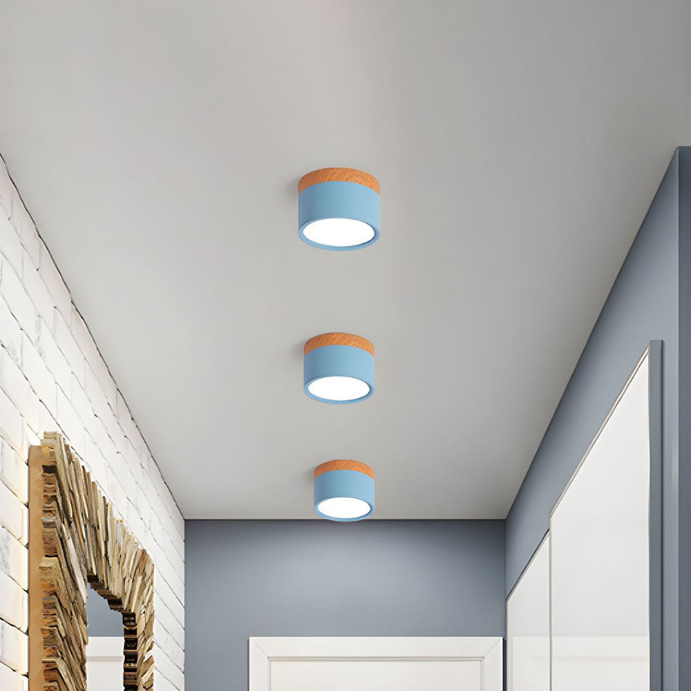 Modern Cylinder LED Flush Mount Ceiling Light