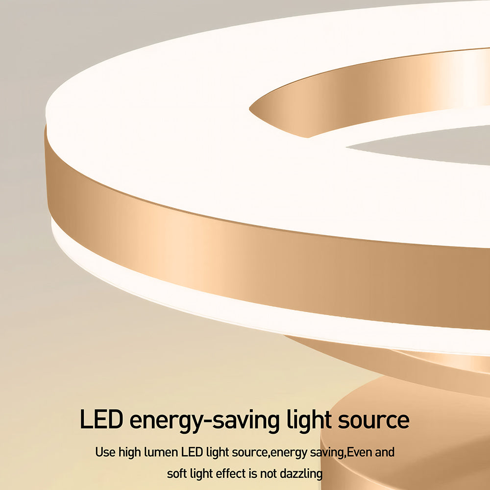 LED Ceiling Light in Modern Iron Design