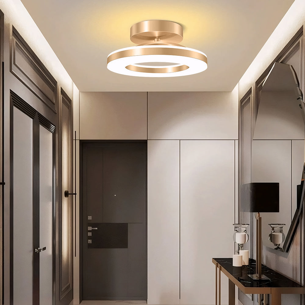 LED Ceiling Light in Modern Iron Design