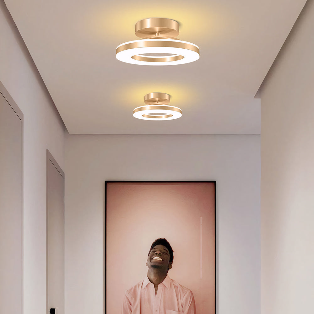 LED Ceiling Light in Modern Iron Design