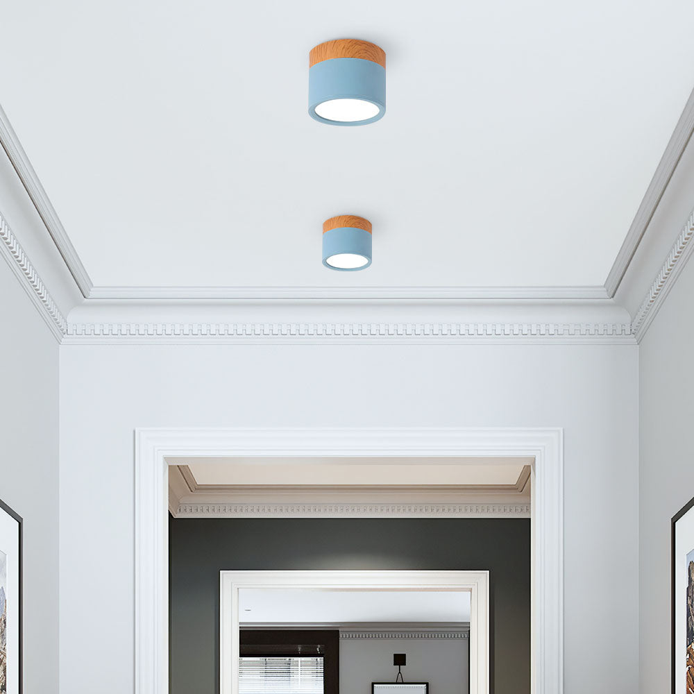 Modern Cylinder LED Flush Mount Ceiling Light