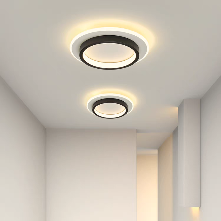 Modern Round LED Ceiling Light with Metal and Acrylic Design