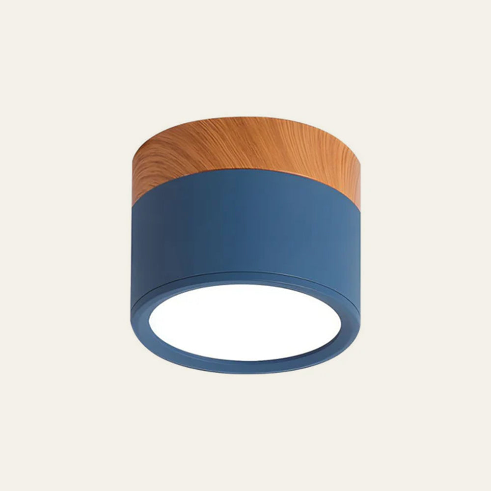 Modern Cylinder LED Flush Mount Ceiling Light