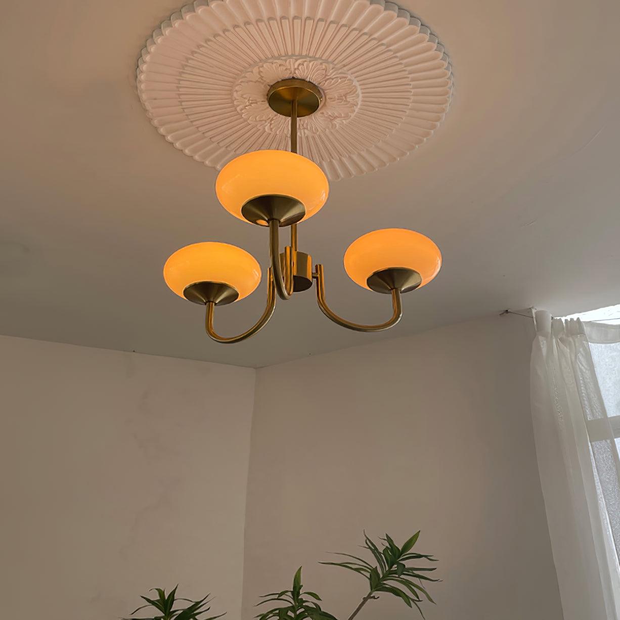 Modern Glass Globe Chandelier Ceiling Light Fixture