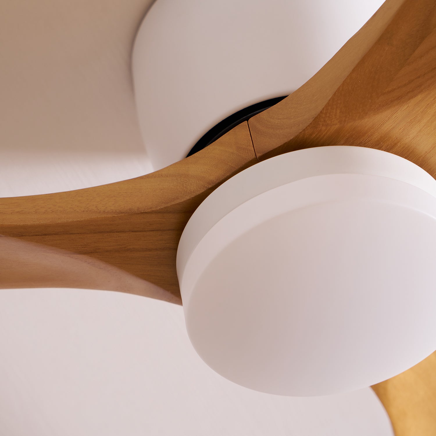 Nordic Wooden Ceiling Fan Light with Remote LED